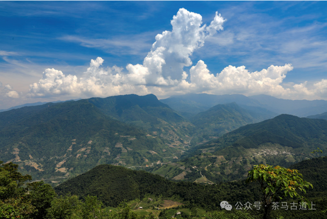 马悦英 | 走进英雄老山，致敬卫国先烈