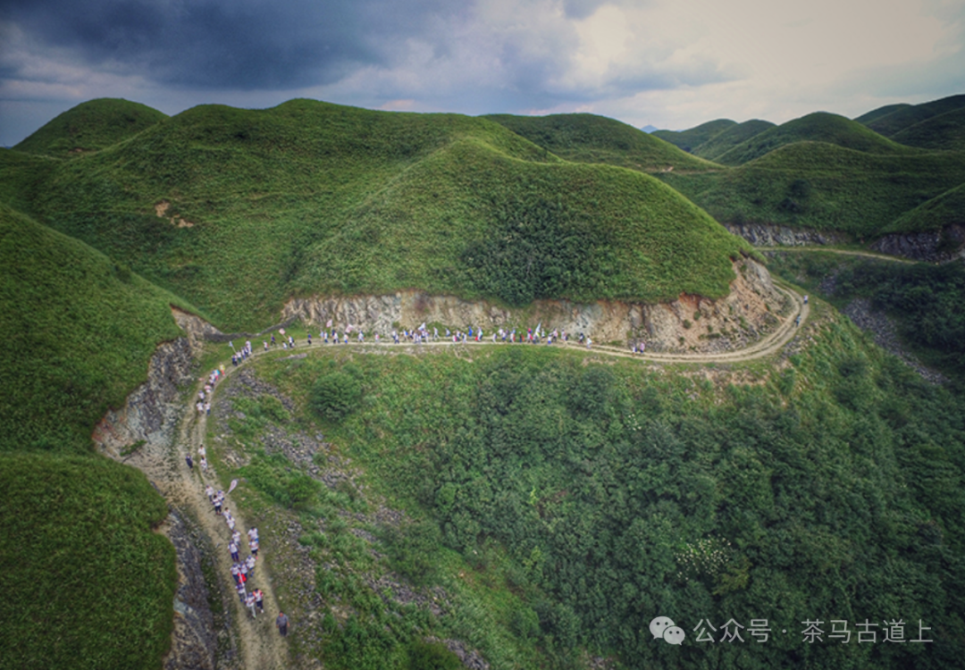 马悦英 | 走进英雄老山，致敬卫国先烈