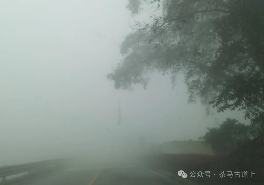 马悦英 | 走进英雄老山，致敬卫国先烈