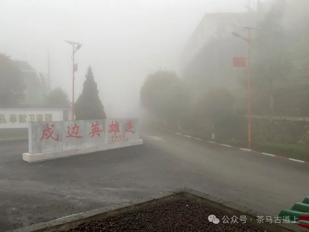 马悦英 | 走进英雄老山，致敬卫国先烈
