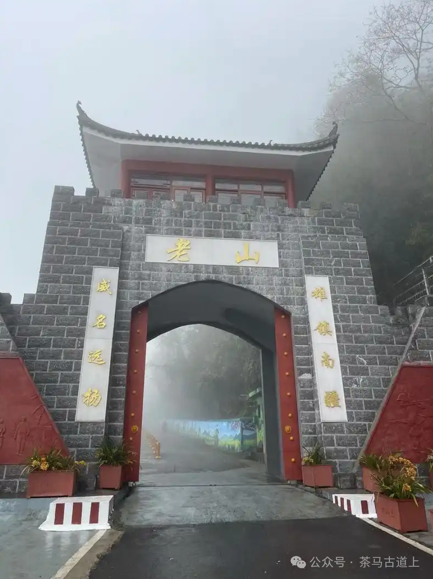 马悦英 | 走进英雄老山，致敬卫国先烈