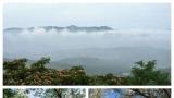 “承包”您的双休日——山东高速股份莱西收费站设计的这条青岛莱西美景专线及攻略收好不谢！