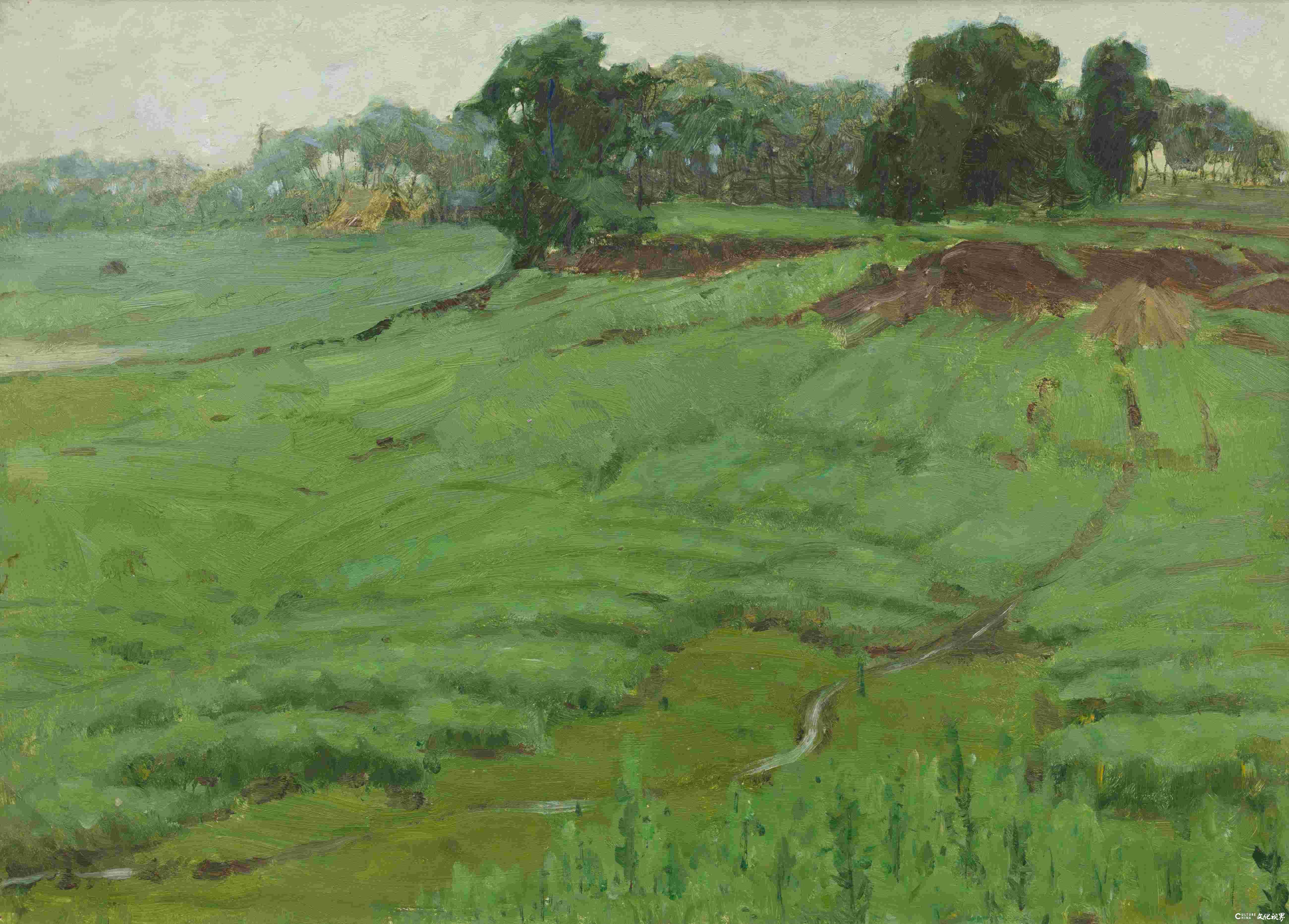 绿色的坡 纸本油彩 15.5cmX38cm 1980.jpg