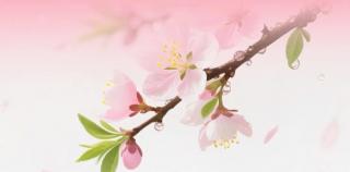 跟“谁”洗可不一样——卡萨帝“桃花水”热水器，洗出美美桃花肌