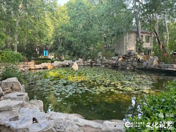 孙云早丨在桃花源青岛城阳区社会福利中心（青岛颐德康复医院）放歌生活——读入住老人傅先生夫妇写给桃花源的一封信有感