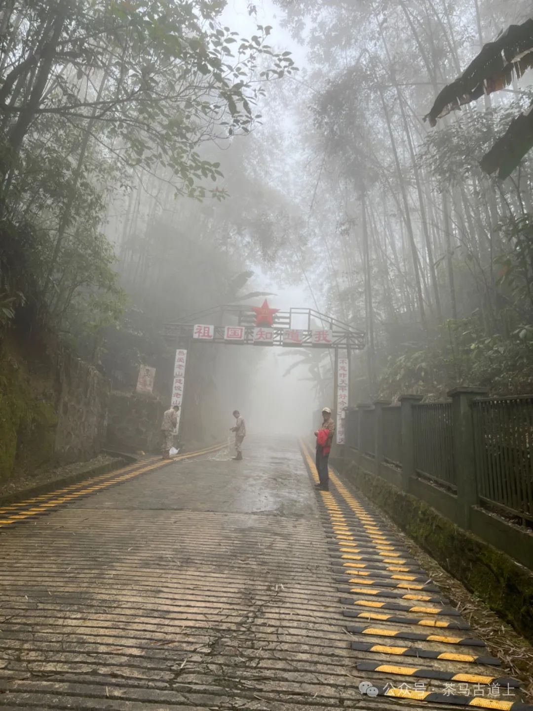 马悦英 | 老山中的家国记忆