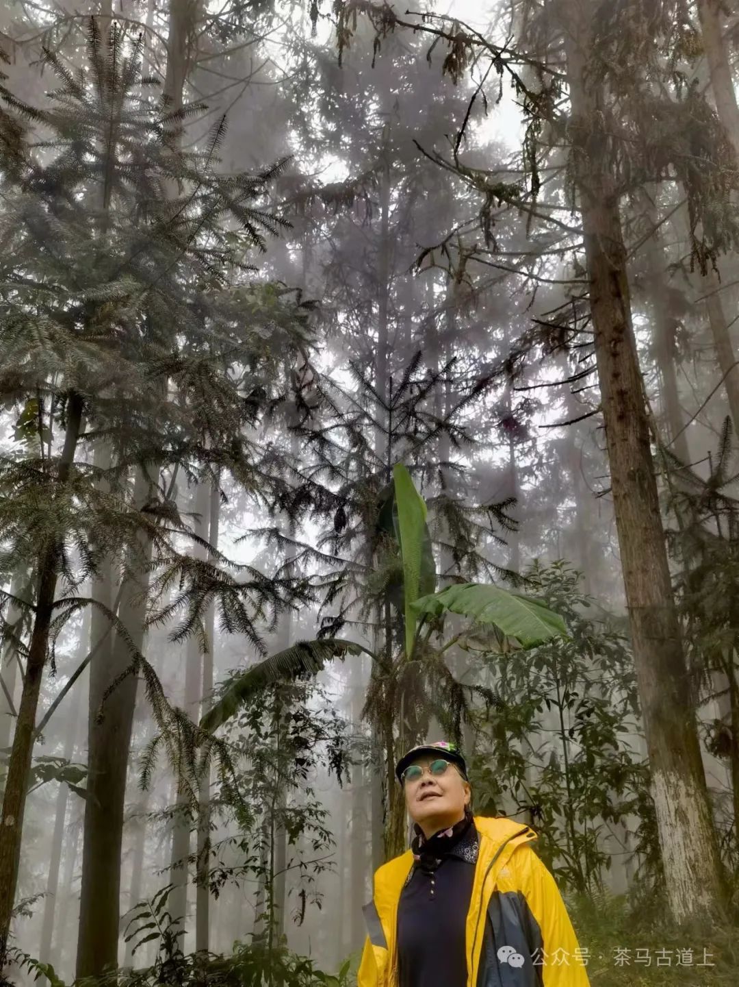 马悦英 | 老山中的家国记忆