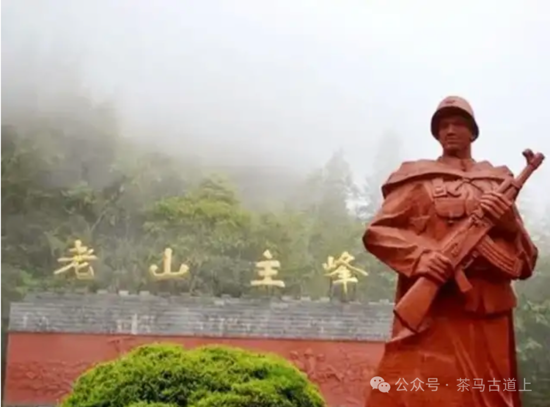马悦英 | 老山中的家国记忆