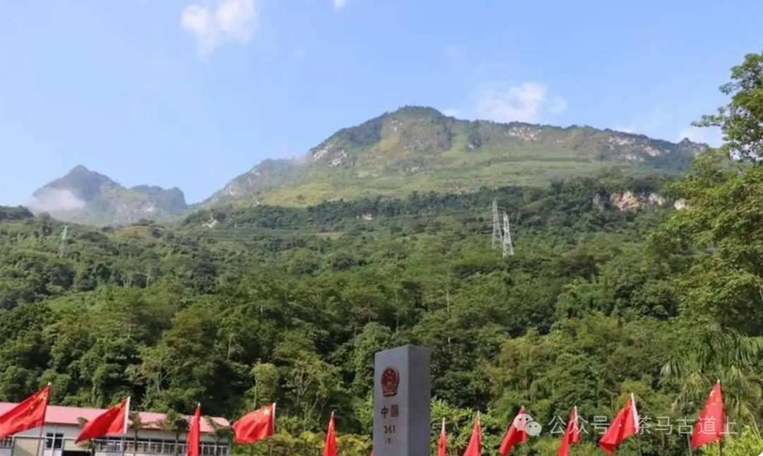 马悦英 | 老山中的家国记忆