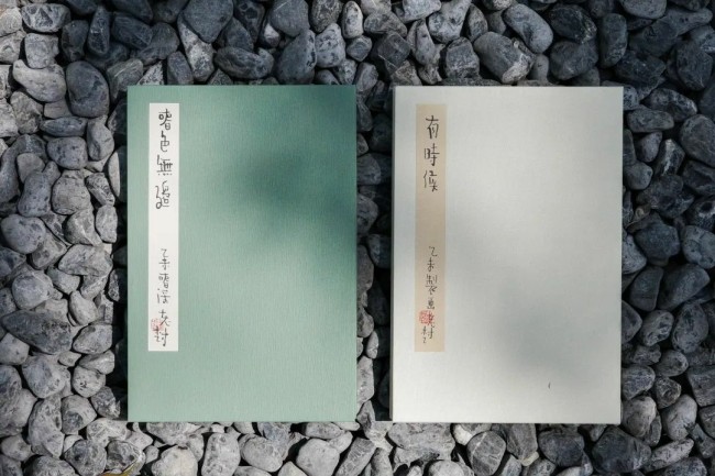 王帅：中年人的自嘲和陌生人的善意——致老树·册页画作《有时候》《春色无边》