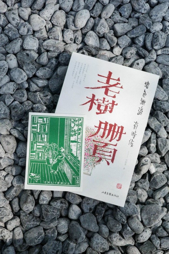 王帅：中年人的自嘲和陌生人的善意——致老树·册页画作《有时候》《春色无边》