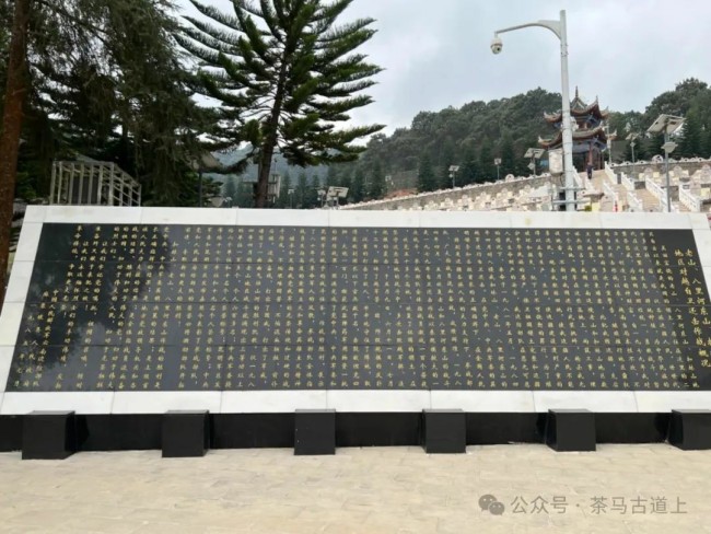 马悦英 | 在云南麻栗坡烈士陵园，缅怀为国牺牲的英烈们
