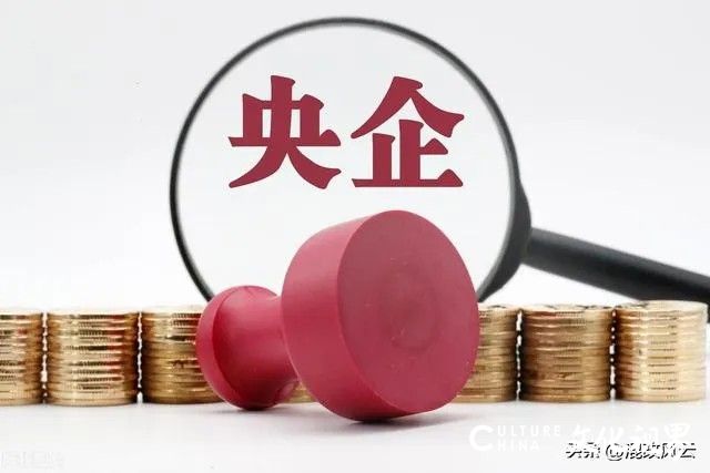 【李想集锦】（371）丨与国有企业董事长讲《中央企业发展规划管理办法》