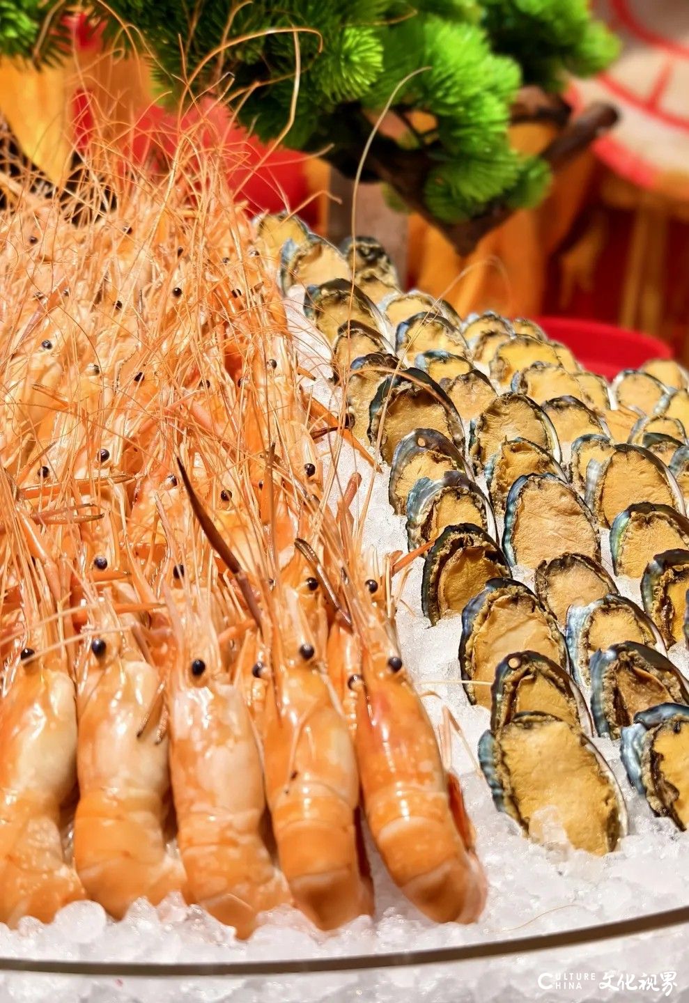 济南银丰华美达酒店：泉城芯畔的人文旅居新地标