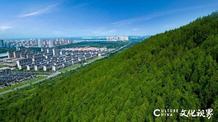 济南高新东中海云麓公馆，叠墅性价比之选，经十路旁首付30万起清盘倒计时！