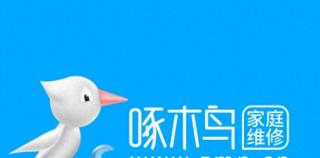 “啄木鸟”被央视“315晚会”曝光后整改百日“旧疾”仍在，现又闹出真假售后“罗生门”