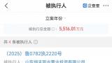 山东恒天阳光置业投资有限公司一日内新增4起被执行人信息，执行总金额超5500万元