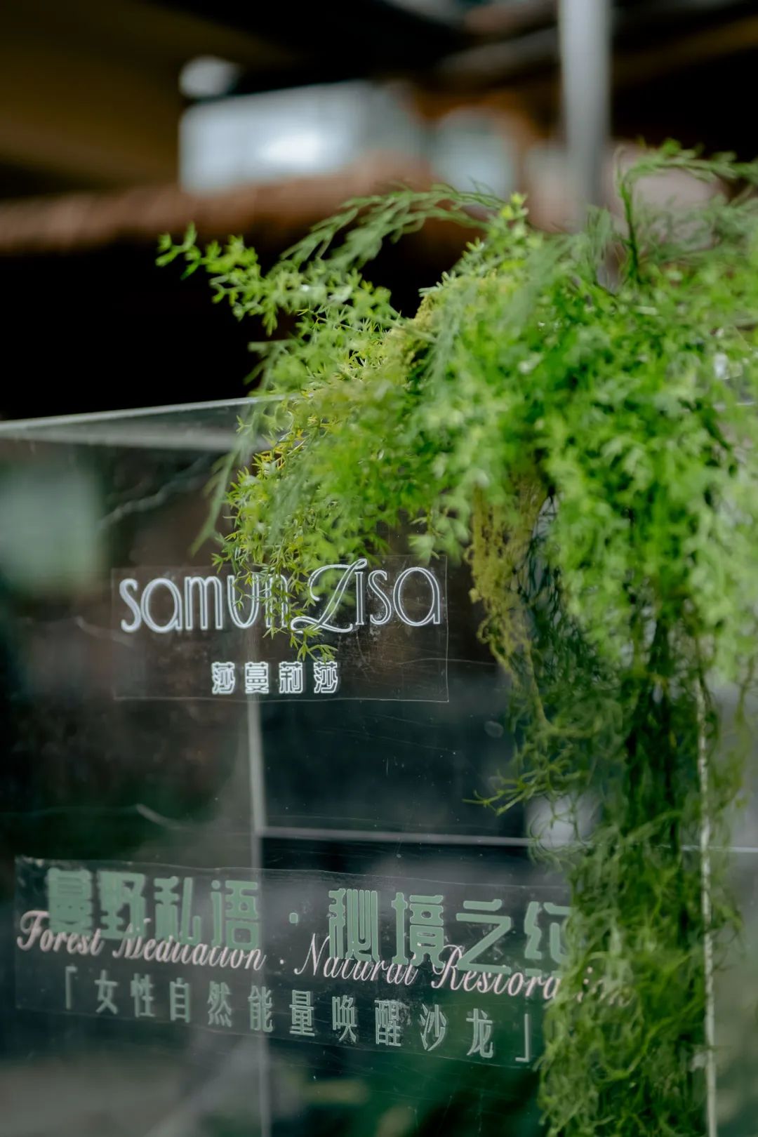 懂你，更宠你——莎蔓莉莎的优雅里，藏着日常的温柔