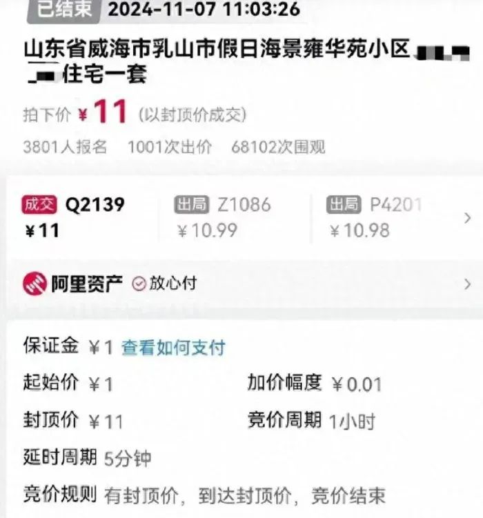 威海乳山再成焦点，“1元起拍”的278套房独占近八成