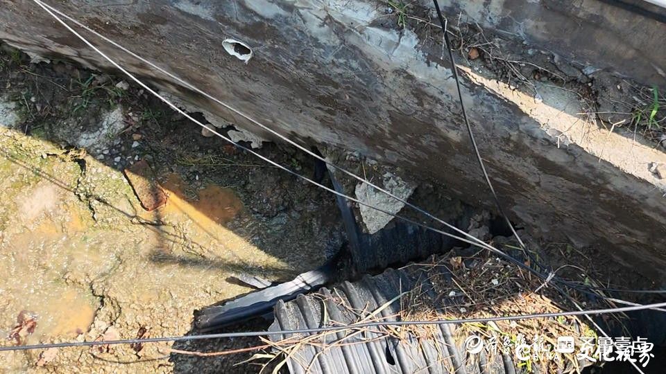 污水倒灌、门框被泡开裂……泰安福源·翡翠嘉苑因雨、污管道设计缺陷连年被淹