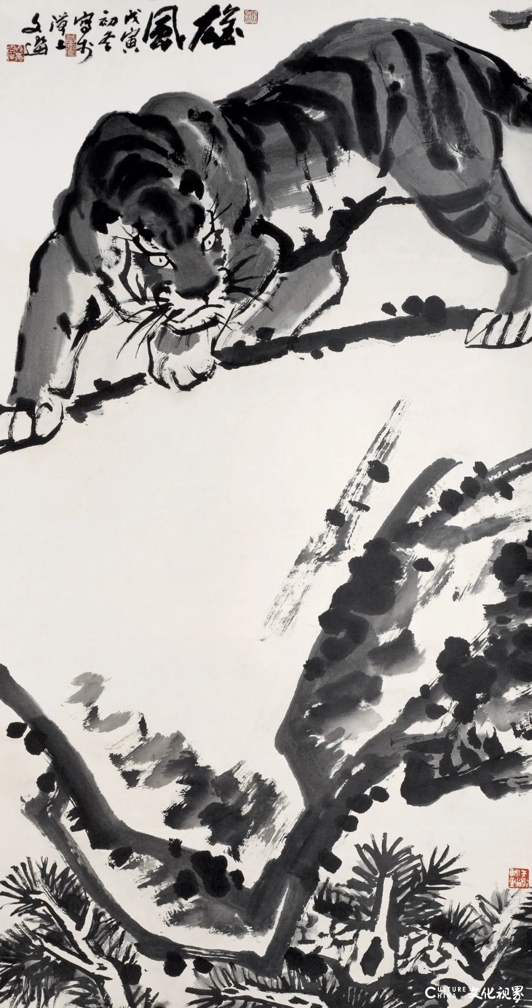 20251121101020755299.jpg 26.jpg