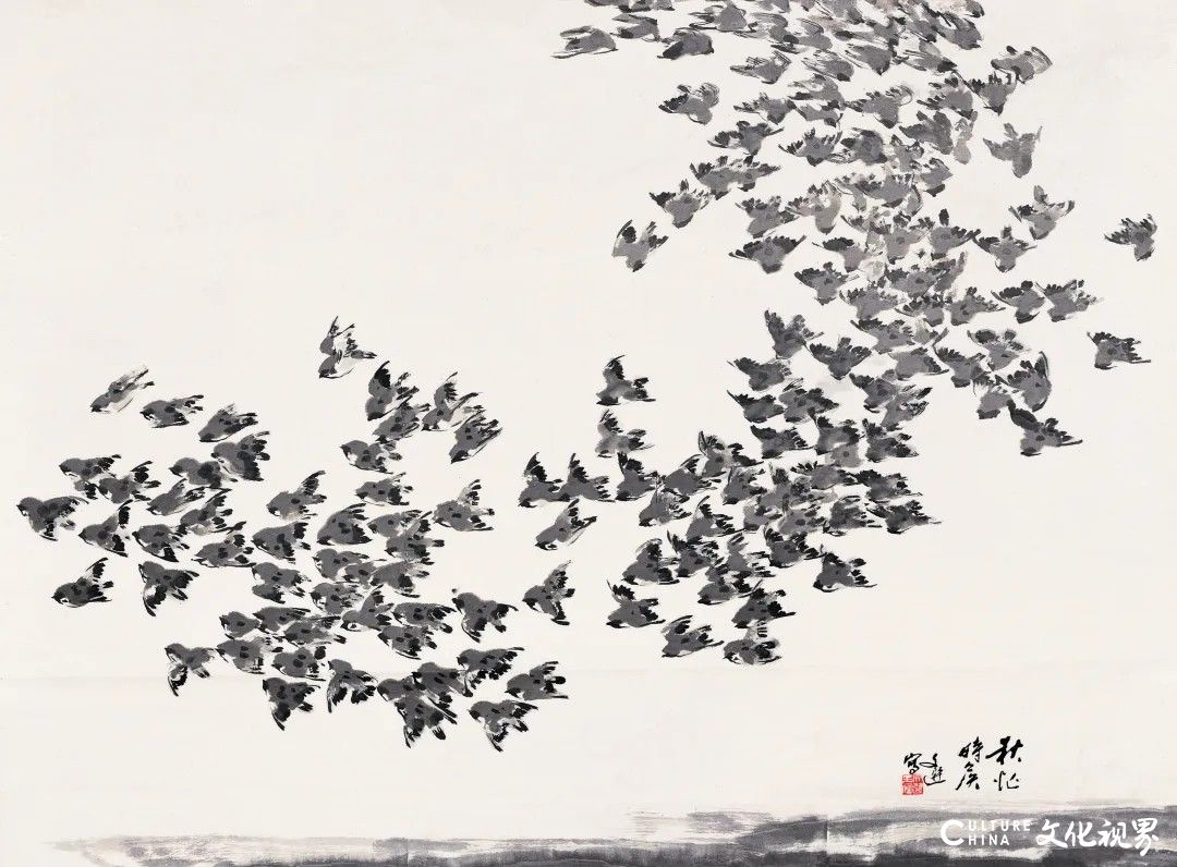 20251121101050533830.jpg 29.jpg