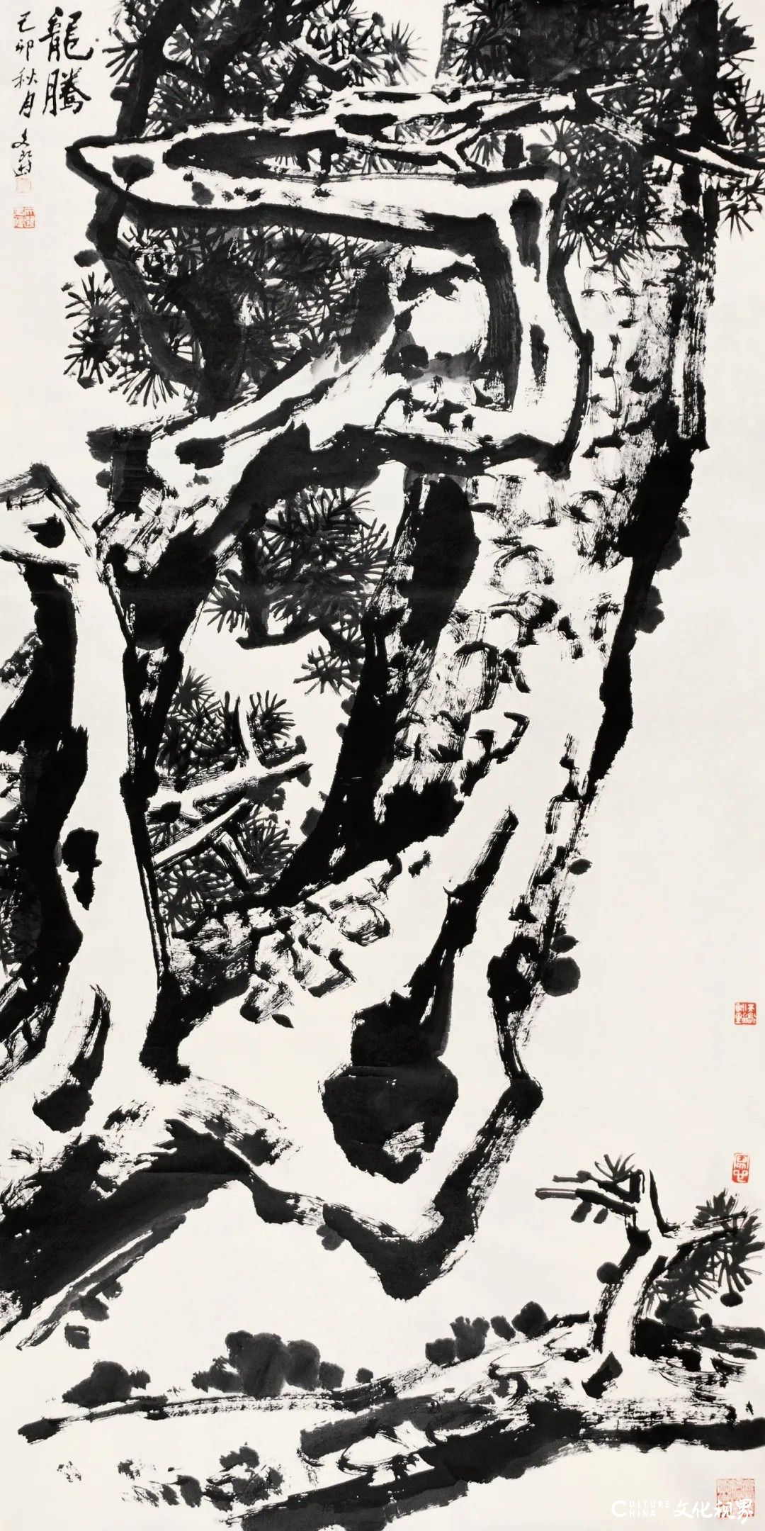 20251121101109904733.jpg 31.jpg