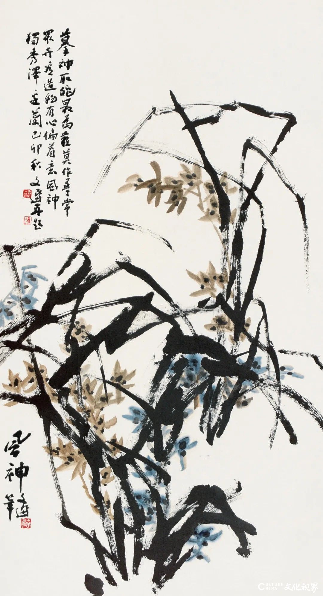 20251121101151679083.jpg 36.jpg