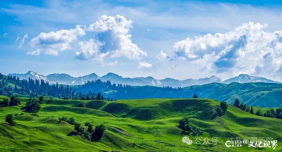 20251122092616286145.jpg 18~1.jpg