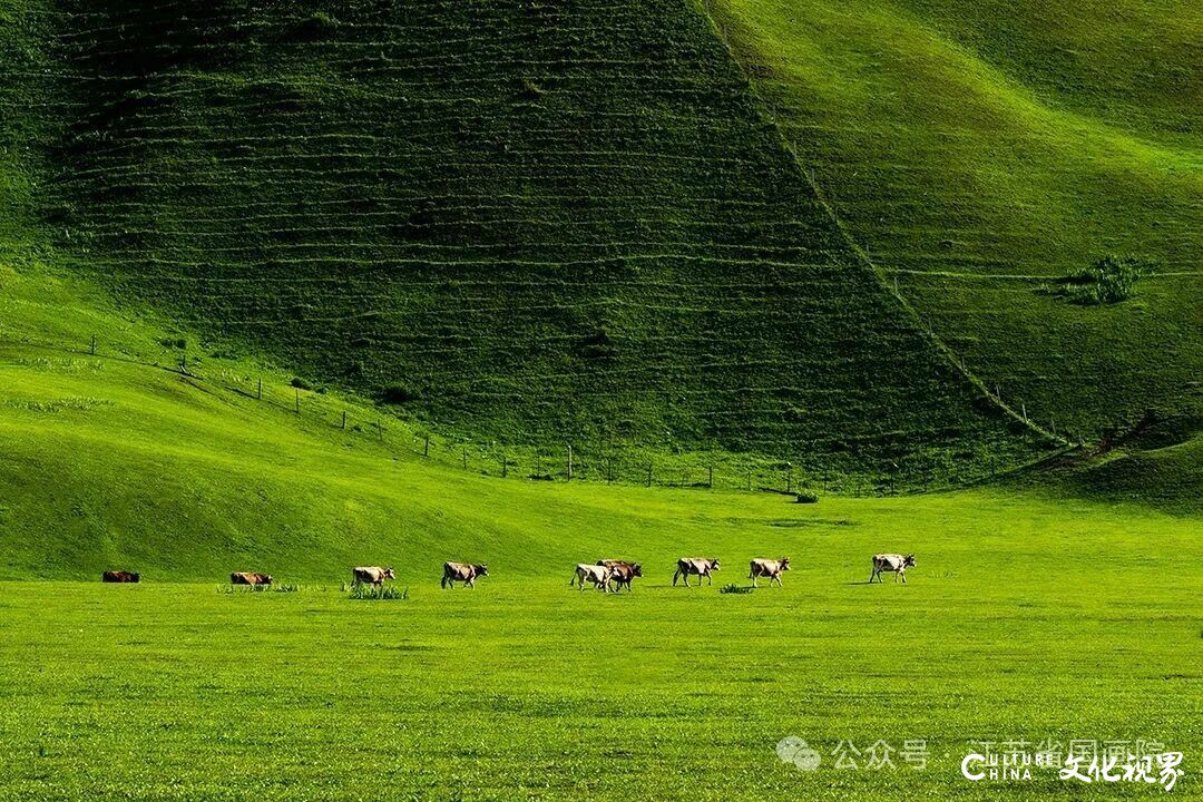 20251122092649551748.jpg 23~1.jpg