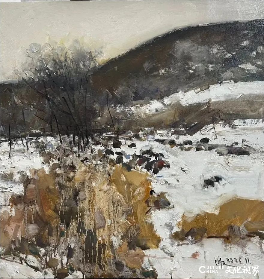 20251122093856396494.jpg 6.jpg