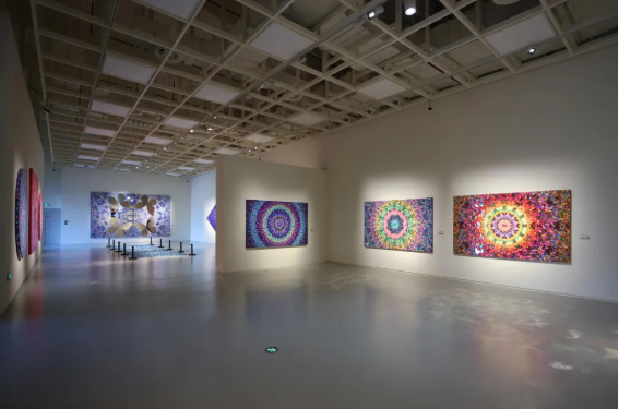 20251122094839910802.png image.png