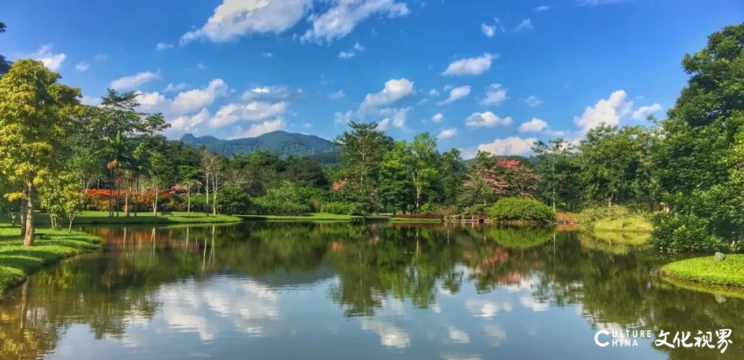 报名啦!2026年1月25日—2月8日,姚大伍、姚瑞江带你走进西双版纳,用画笔记录多彩云南