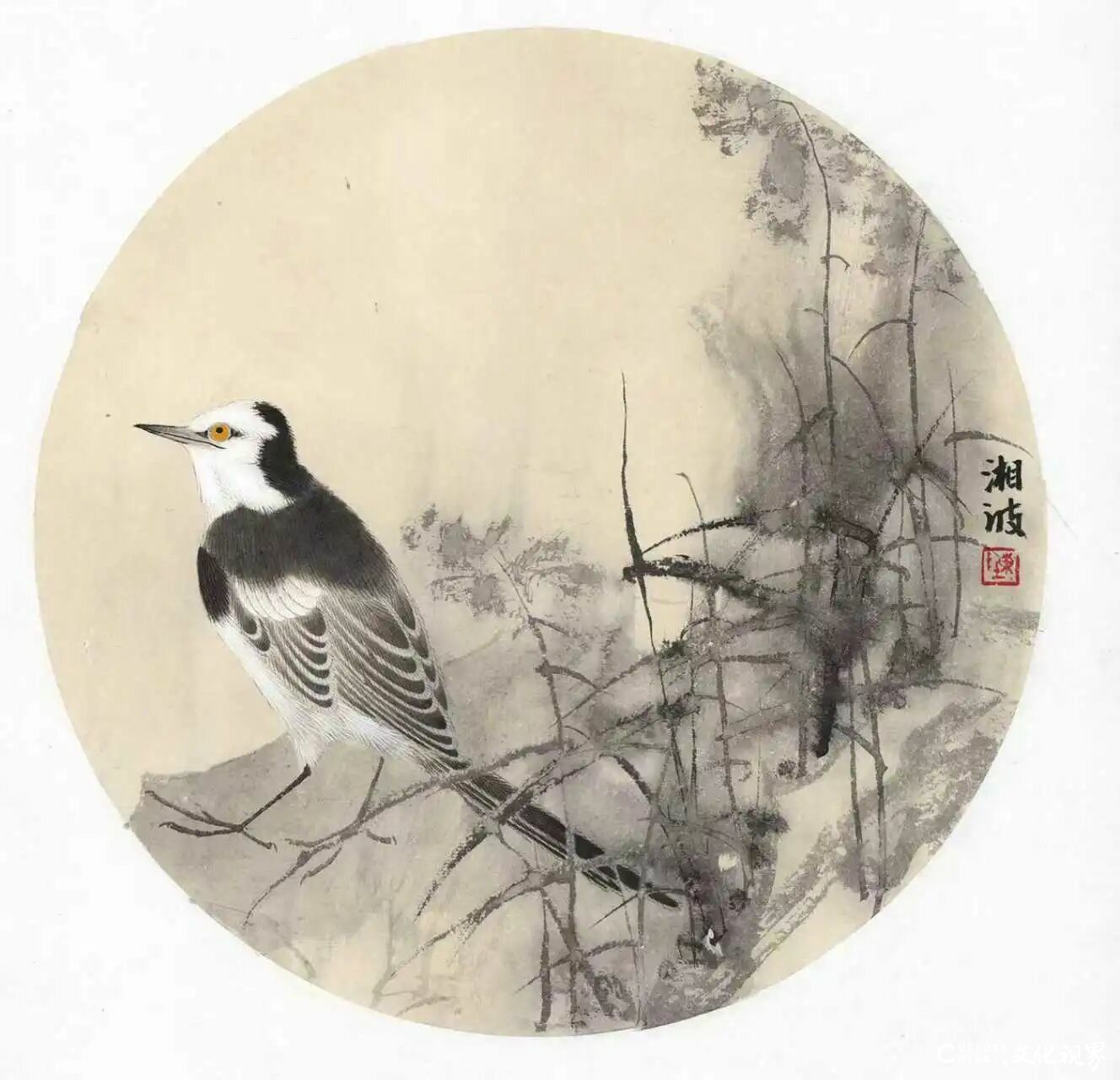 陈湘波·《小雪》|风冽送轻寒 凝素待春声