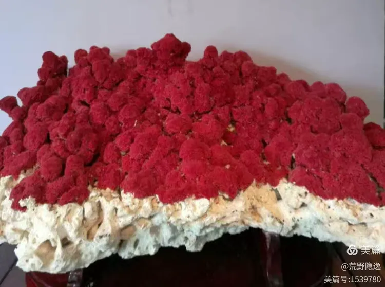 孙云早 | 山东省老年学与老年医学学会养老服务研究专委会赴青岛桃花源城阳区社会福利中心开展调研座谈