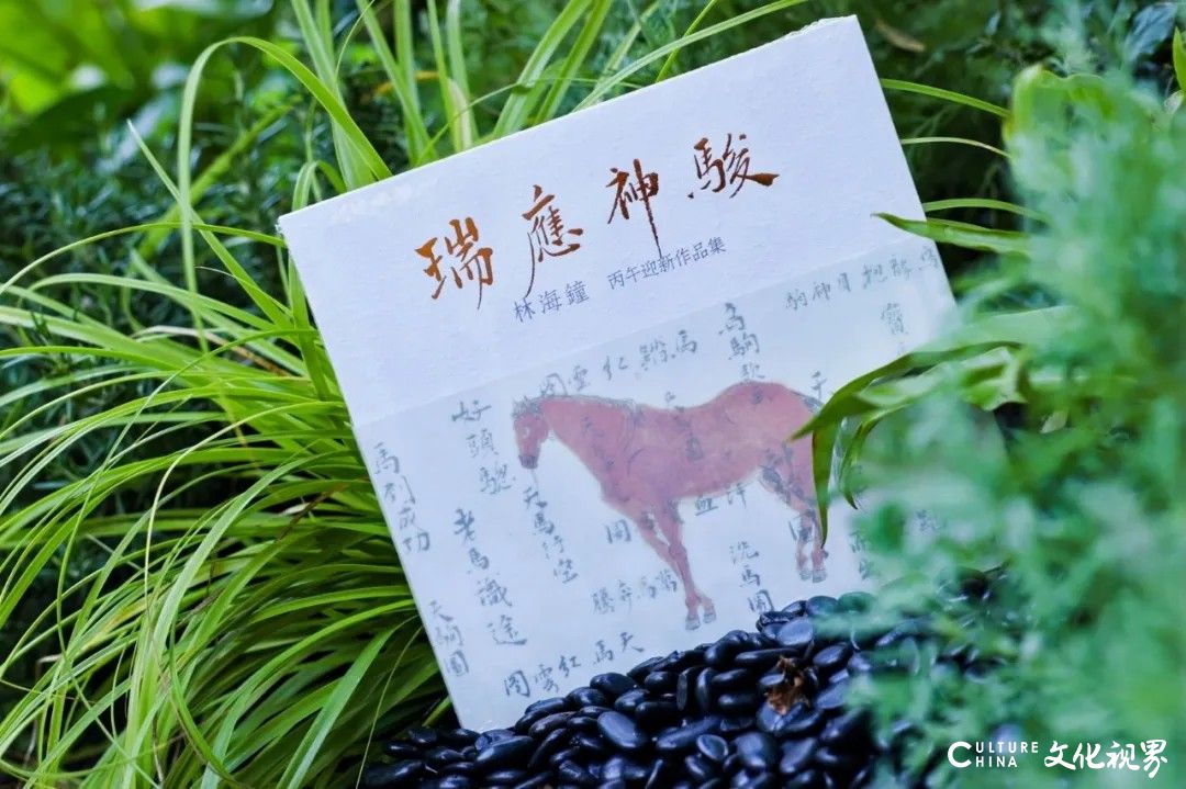 20251125105115959999.jpg 71.jpg