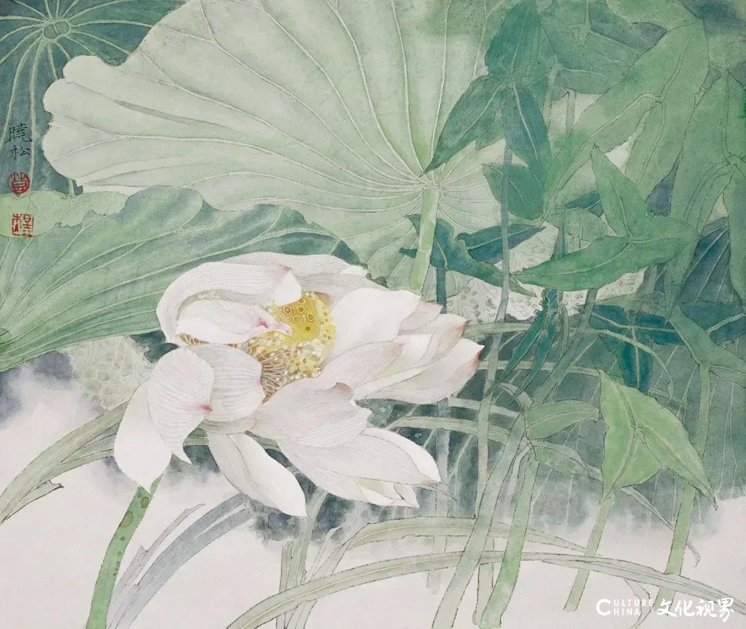 20251125133531406900.jpg 152.jpg