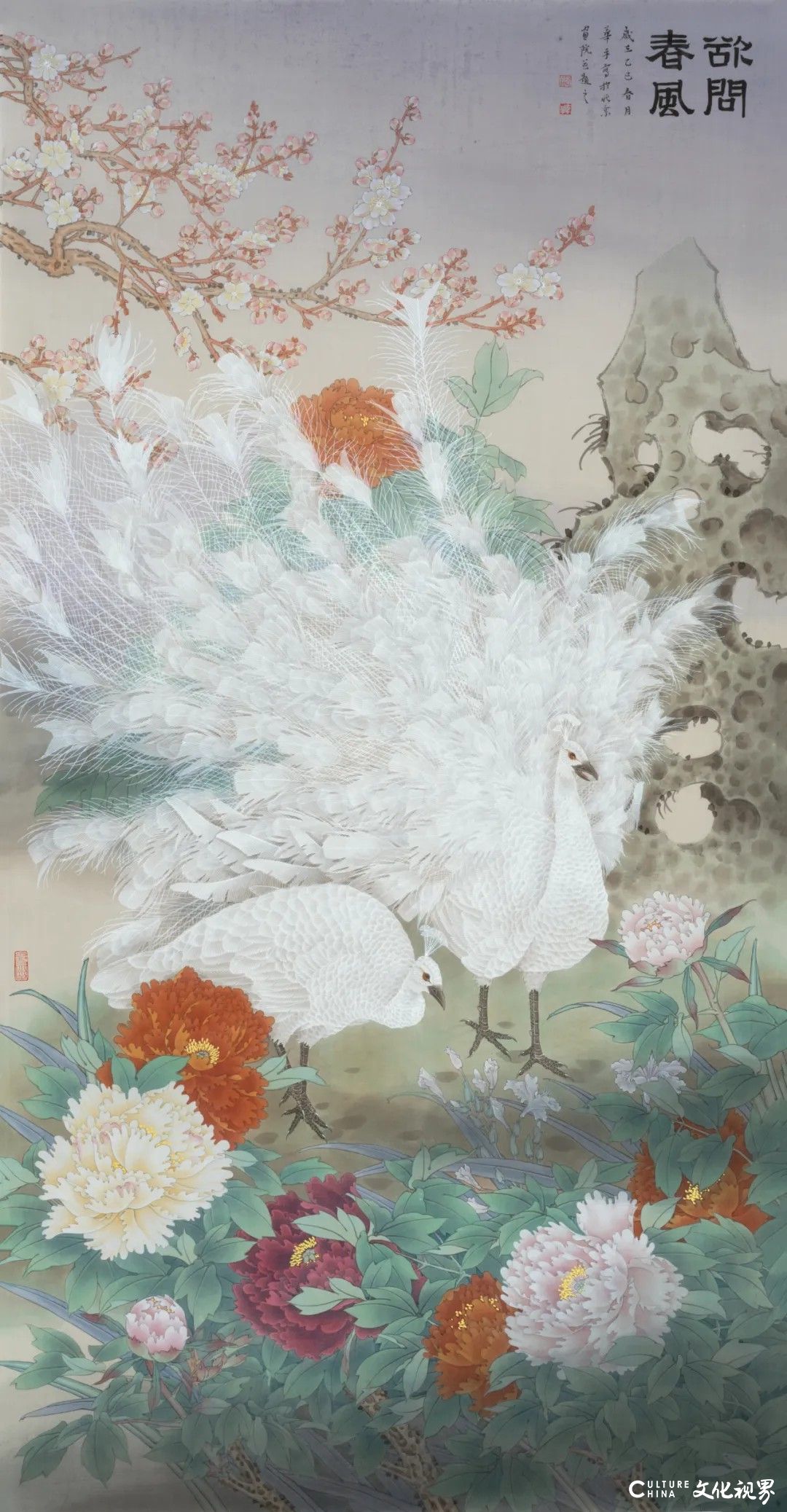 20251125133557624334.jpg 154.jpg