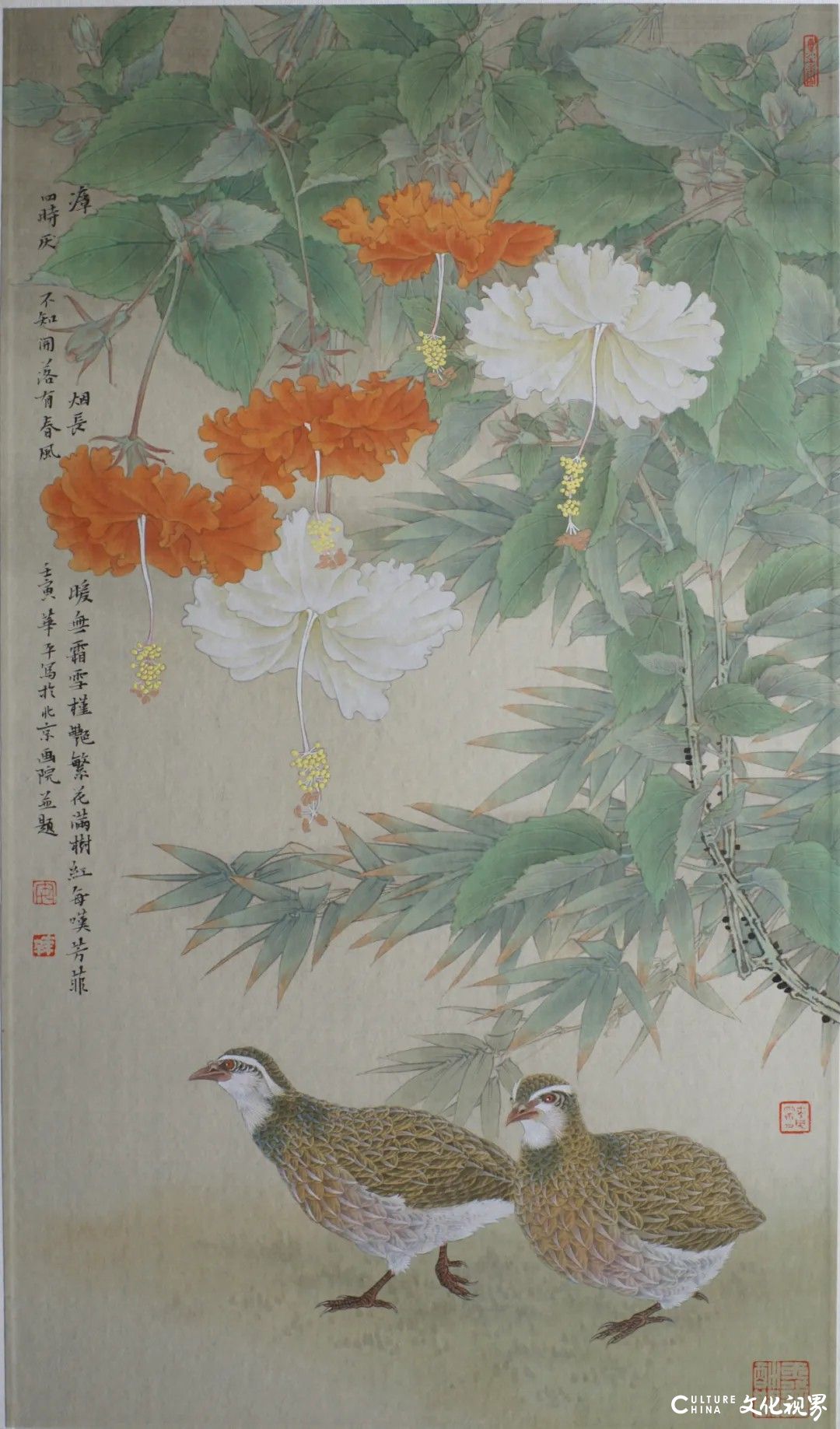 20251125133617512666.jpg 155.jpg