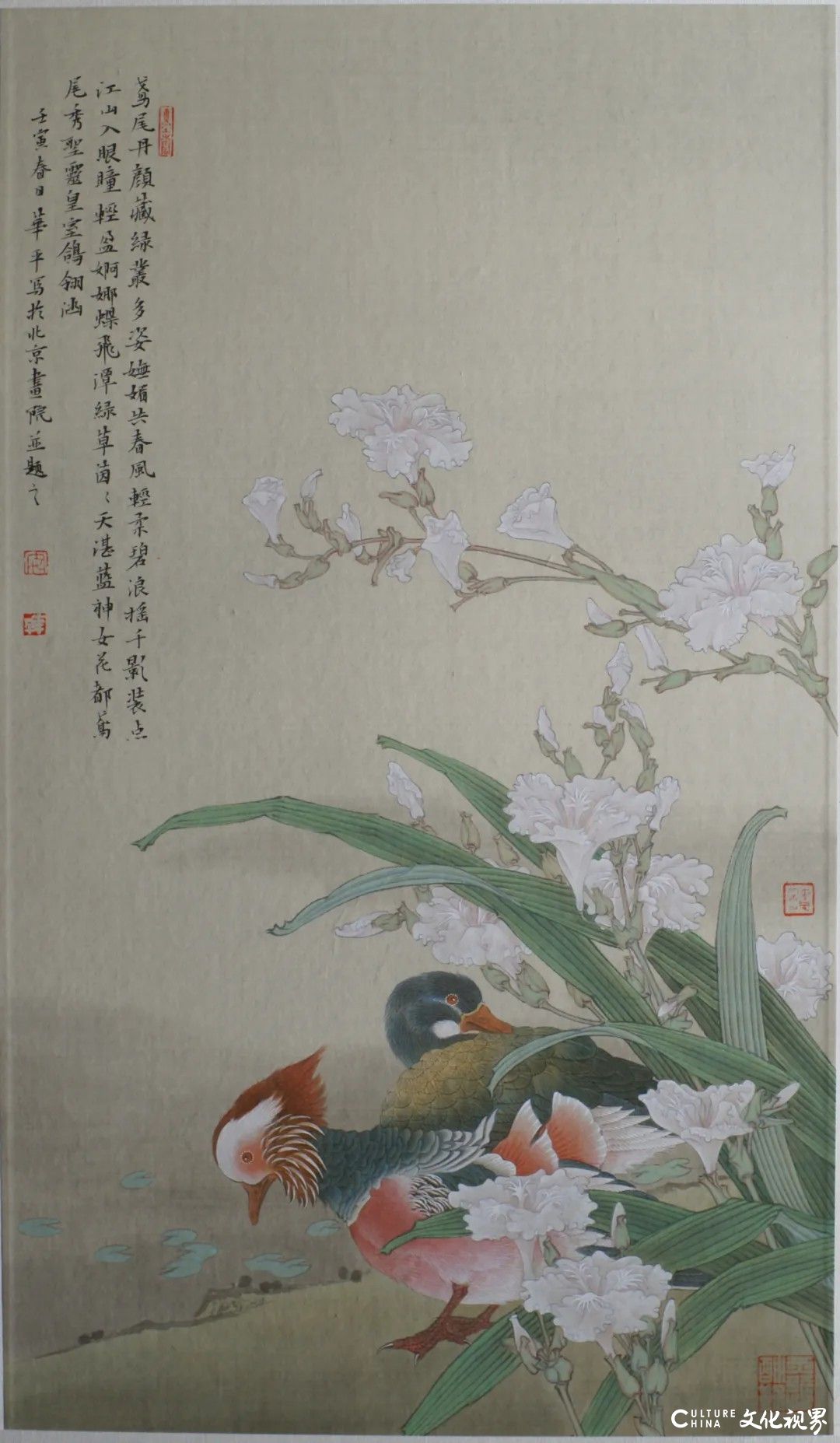 20251125133636228665.jpg 156.jpg