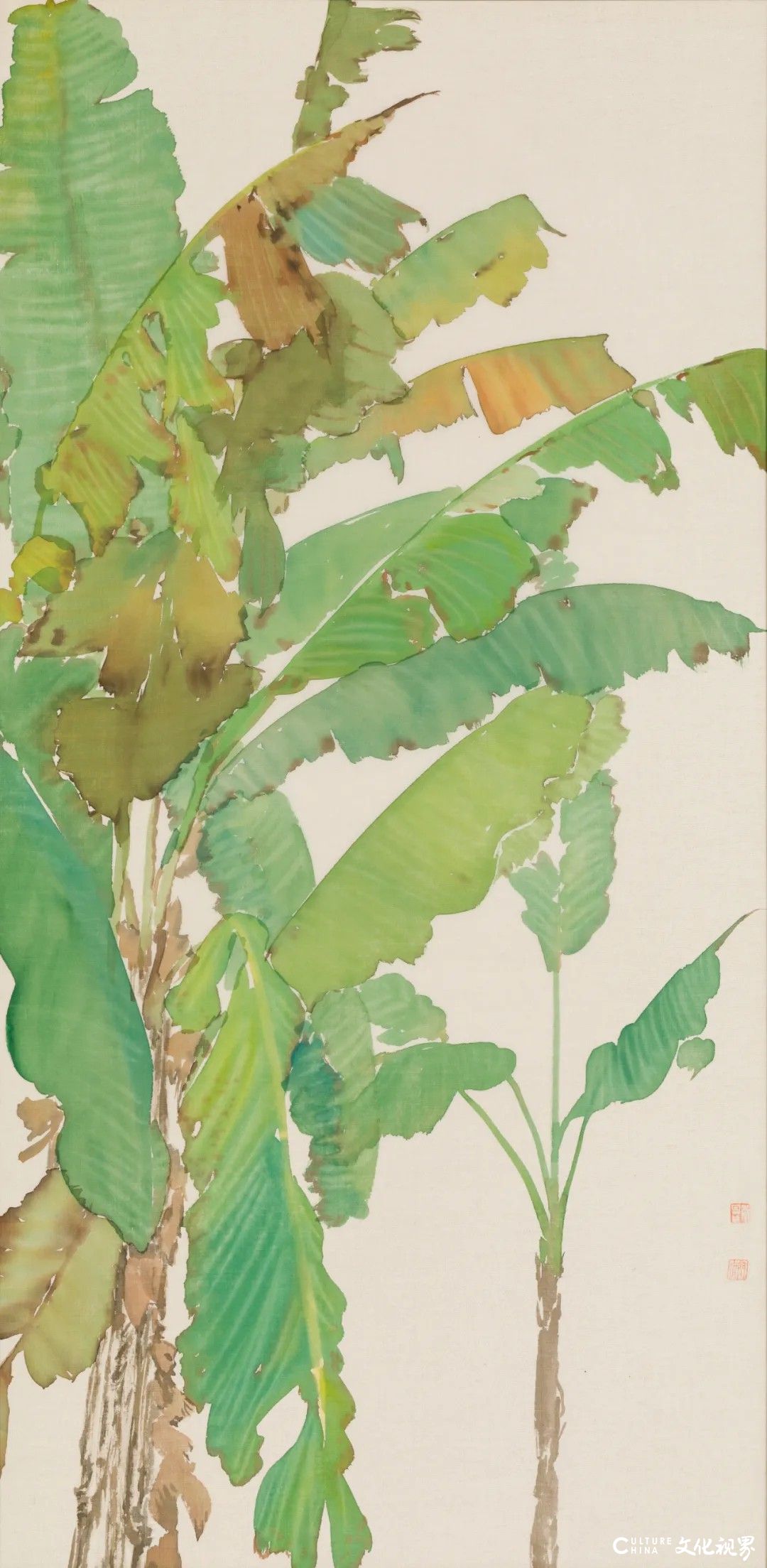 20251125133737221859.jpg 158.jpg