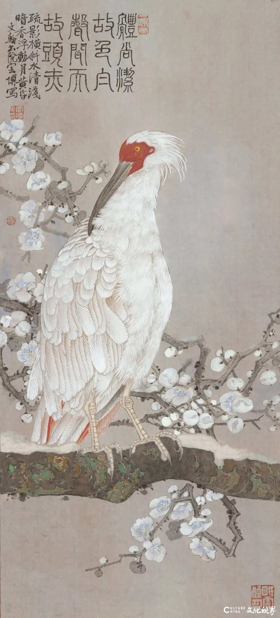 20251125134237376747.jpg 166.jpg