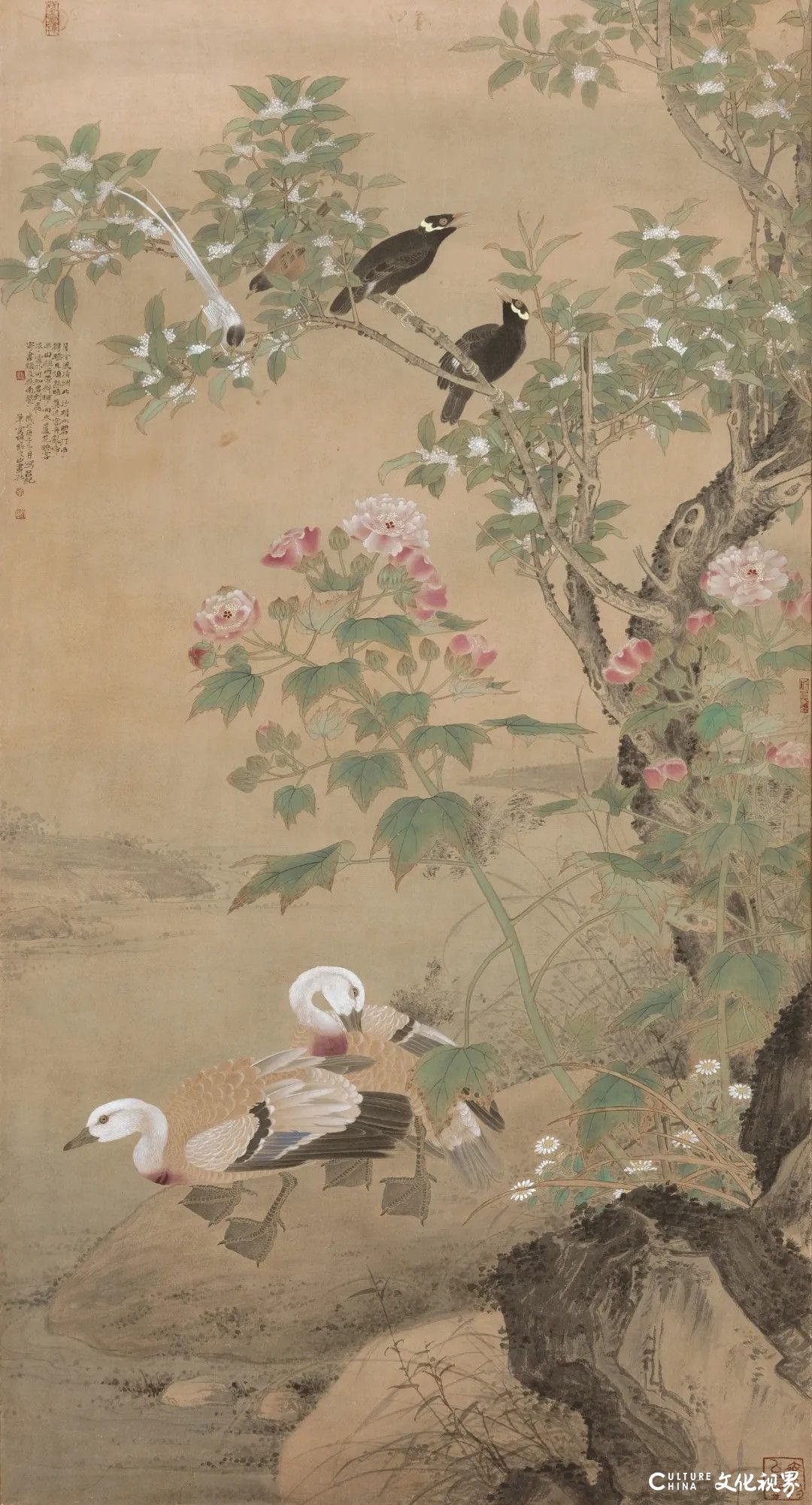 20251125134256526787.jpg 168.jpg