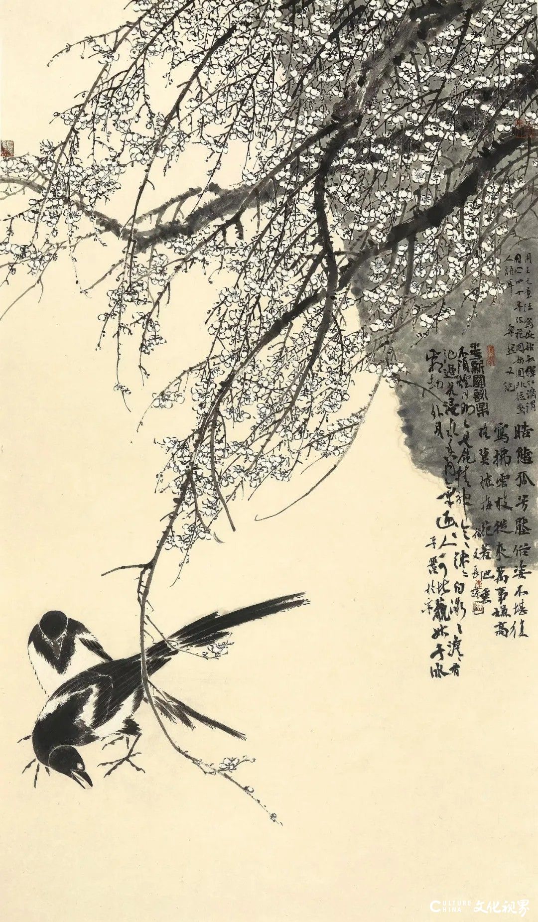 20251125134427576716.jpg 175.jpg