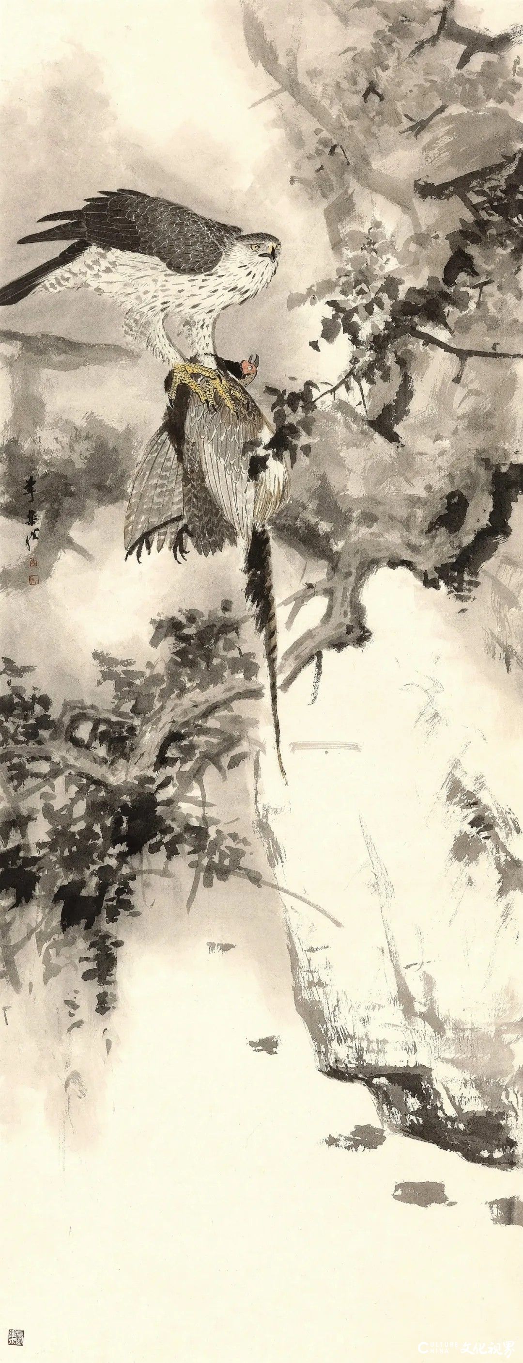 20251125134455696400.jpg 176.jpg